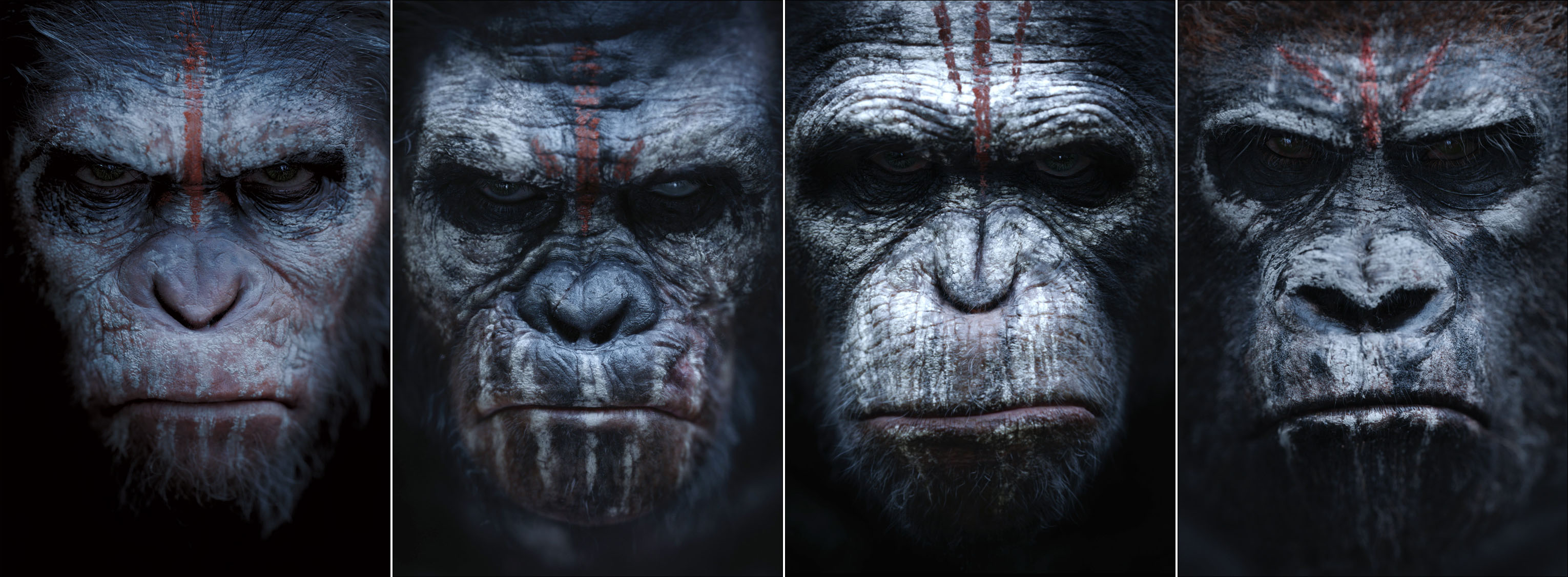 Dawn-Of-The-Planet-Of-The-Apes-Comic-Wallpapers-8