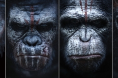Dawn-Of-The-Planet-Of-The-Apes-Comic-Wallpapers-8