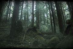 Woods_Dawn
