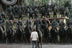 apes1