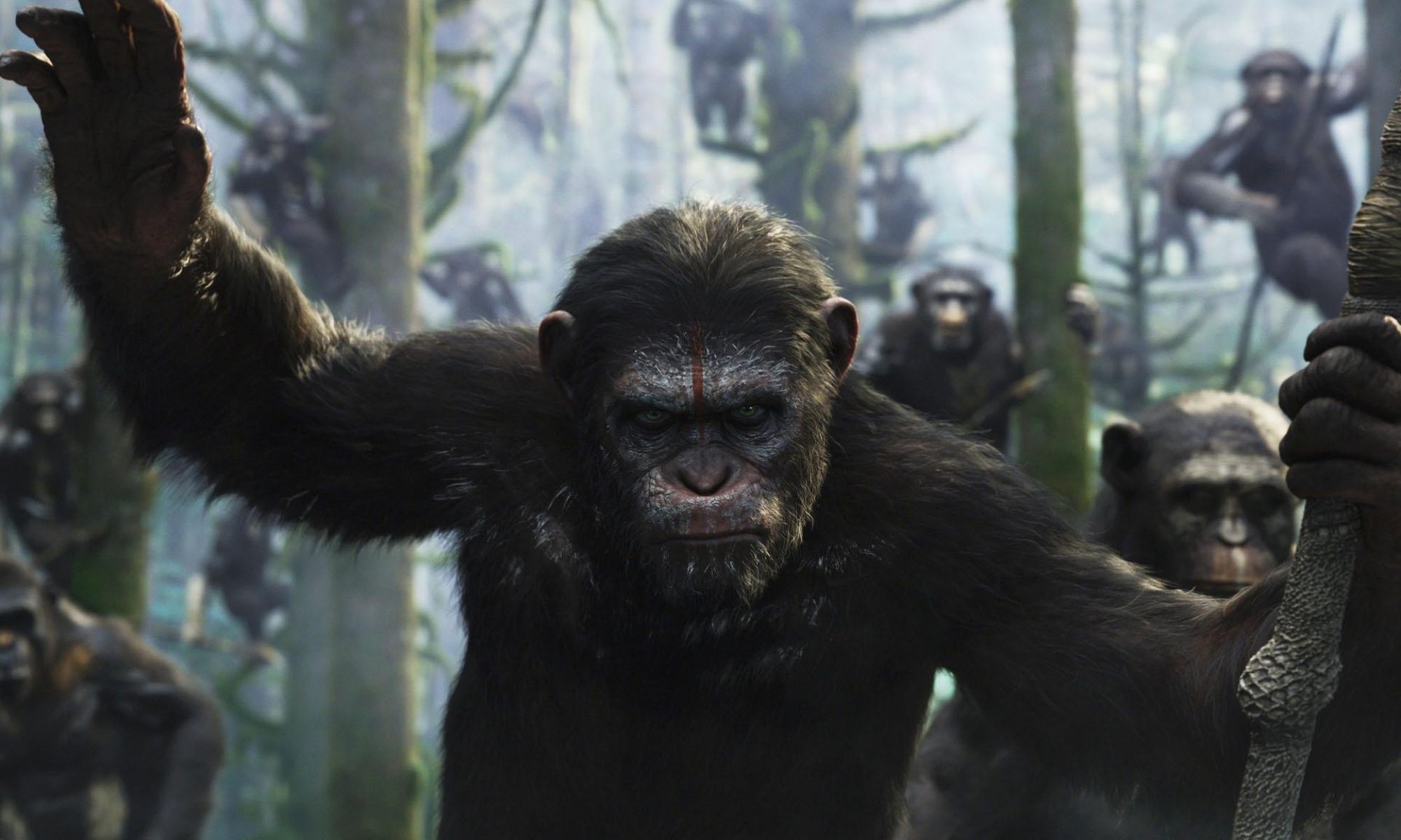 Dawn of the Planet of the Apes Blog